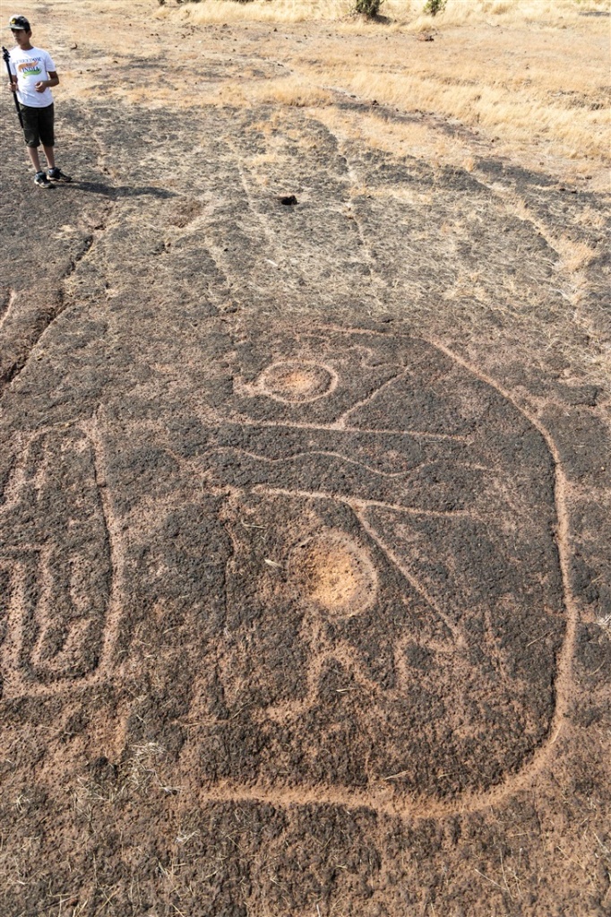 Head carving ? -  Ukshi petroglyphs 