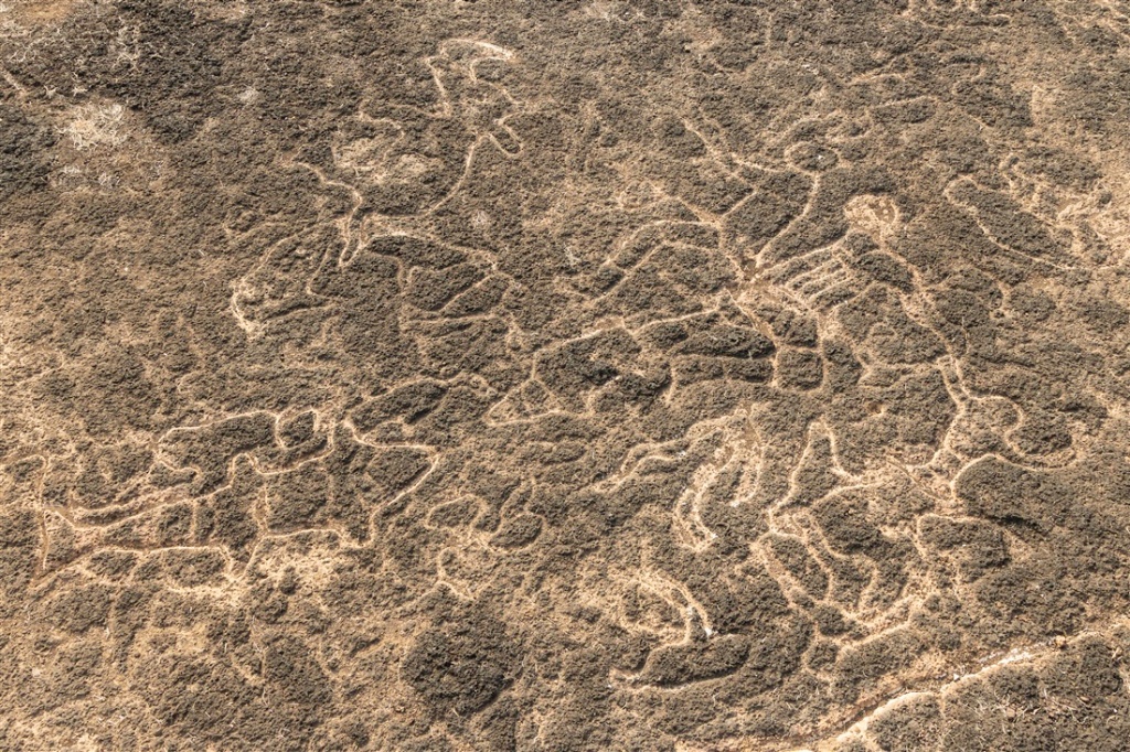 An assortment of animals, both identifiable and abstract - Kasheli petroglyphs 